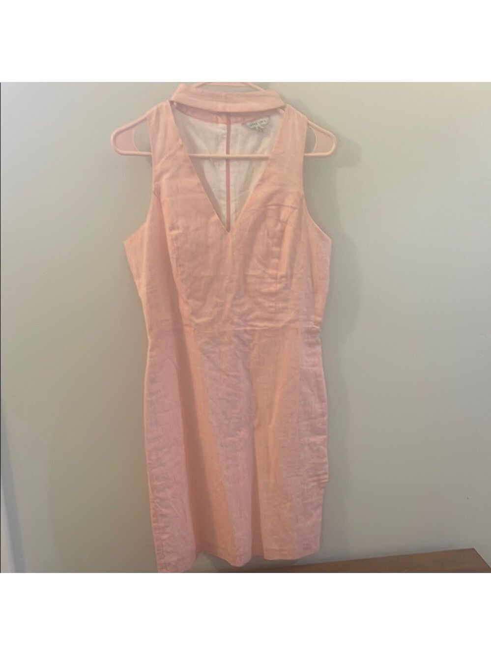 Naked Zebra Light Pink Dress
